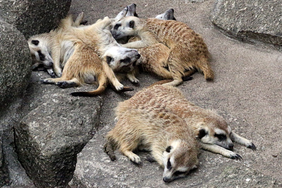 f0224624_11485598.jpg