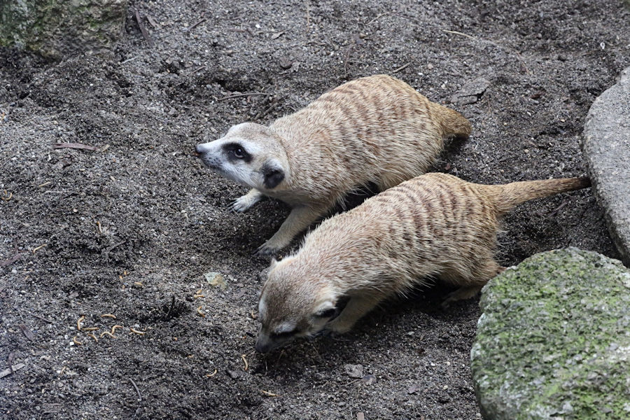 f0224624_11512340.jpg