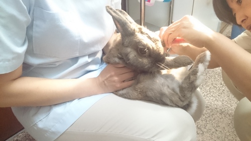 ゲー😱もう1年も投稿してない❗_f0008526_19185113.jpg