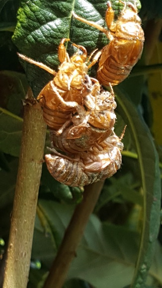 d0269832_06165094.jpeg