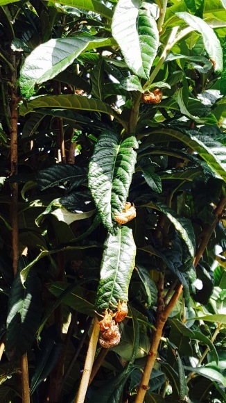d0269832_06172517.jpeg
