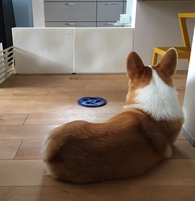 睡眠自由スタイル_f0035333_22334830.jpg