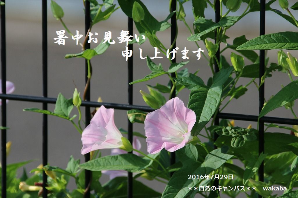 e0052135_22182639.jpg