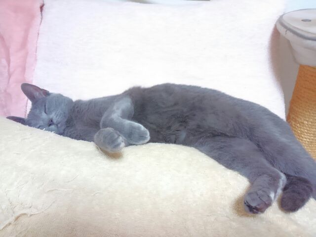 夏休みスタート！_d0152937_22595123.jpg