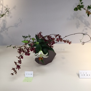 花展_c0076141_1121949.jpg