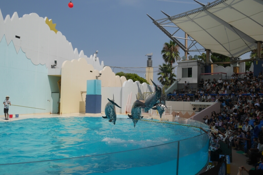 須磨水族館_b0335550_20052639.jpg