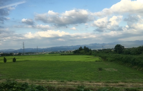 c0217853_17560676.jpeg