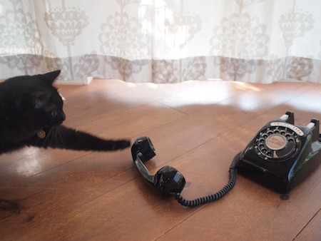 黒電話と黒猫_a0335560_17090058.jpg