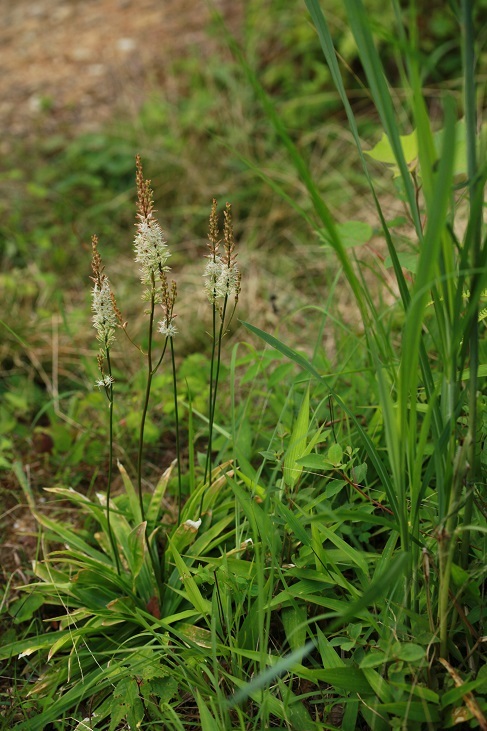 e0304170_21530802.jpg