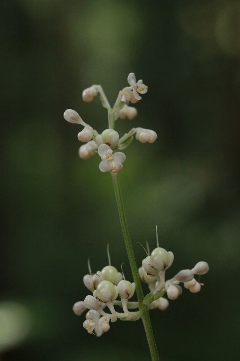 e0304170_21551557.jpg