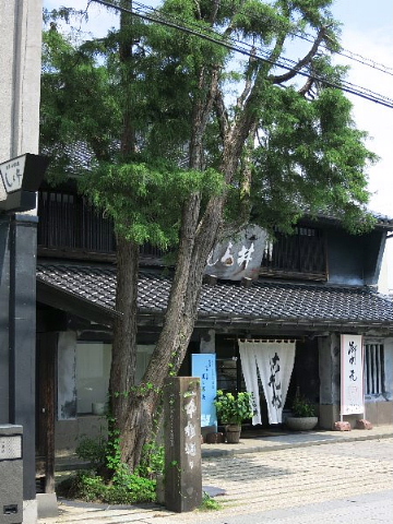 文章・編集をなぜ学ぶのか。_b0141773_15432718.jpg
