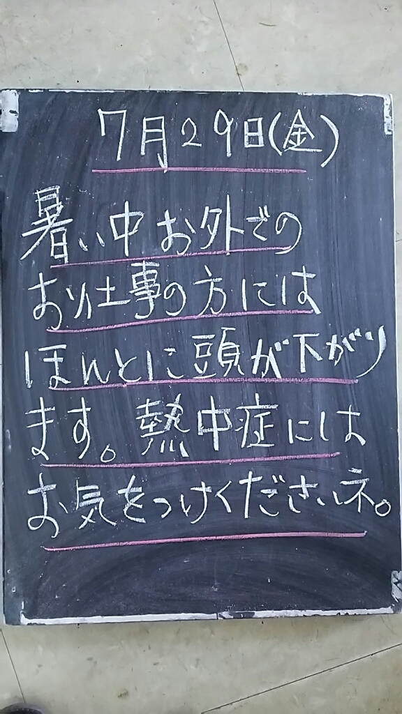 いよいよ夏本番って感じ・・・_f0152875_08464631.jpg