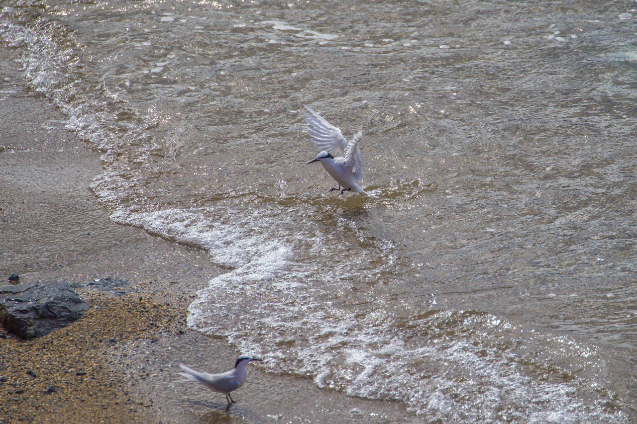 a0052080_15354611.jpg