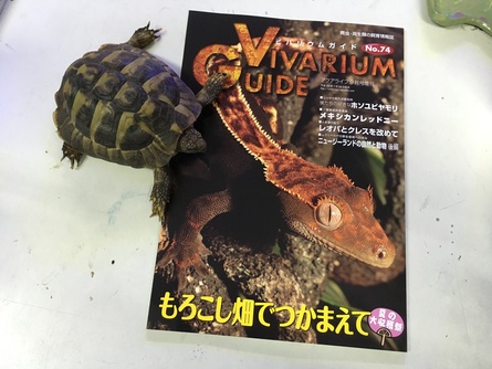 7/29 店長日記_e0173381_1810163.jpg