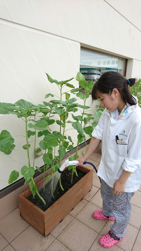 自分の仕事_b0345088_20371998.jpg