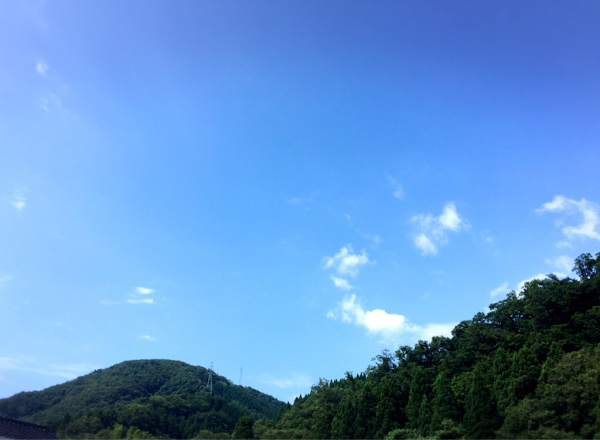 d0182188_17481362.jpg