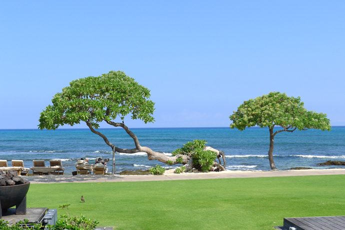  Four Seasons Hualalai フォーシーズンズ・フアラライ 2016 GW -27　極上プール_c0147790_14184378.jpg