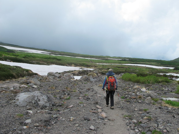 北海道山旅②　大雪山旭岳を周回　2016.7.25（月）_a0166196_134314.jpg