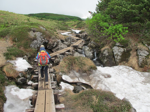 北海道山旅②　大雪山旭岳を周回　2016.7.25（月）_a0166196_1363545.jpg