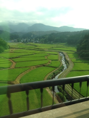 c0365198_07512093.jpeg