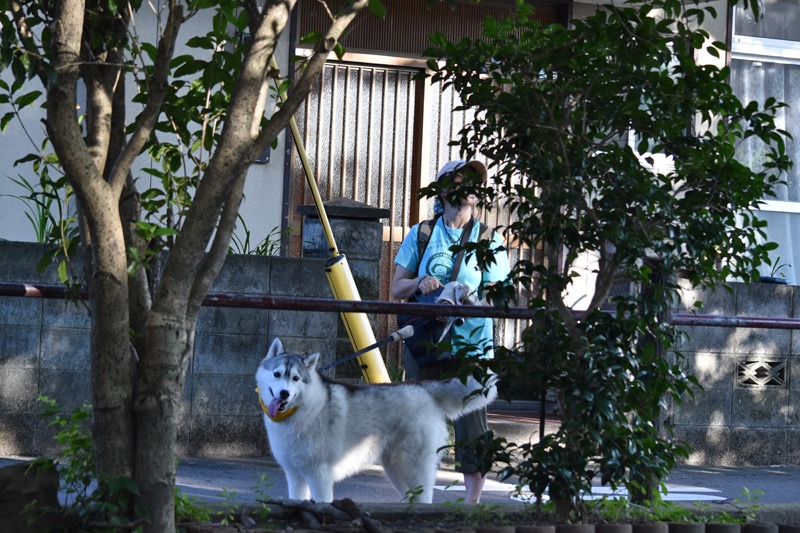 飛ぶもの大集合！　(*^_^*)_c0049299_22515687.jpg