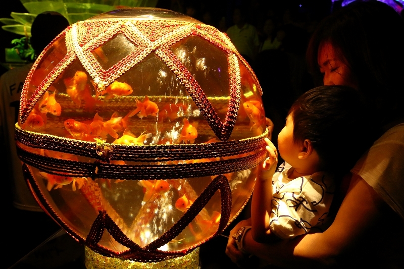 非日常的”涼”空間、史上最大の金魚鉢作品は江戸時代の花街をイメージしました（アートアクアリウム２０１６）_b0291402_07243941.jpg