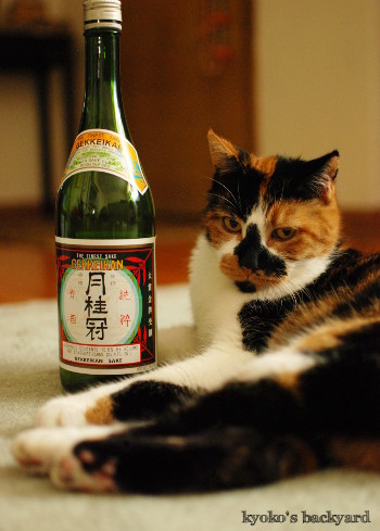 やらせ陰謀シリーズ? お酒編_b0253205_05020307.jpg