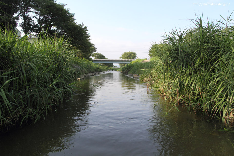 c0189013_9253790.jpg