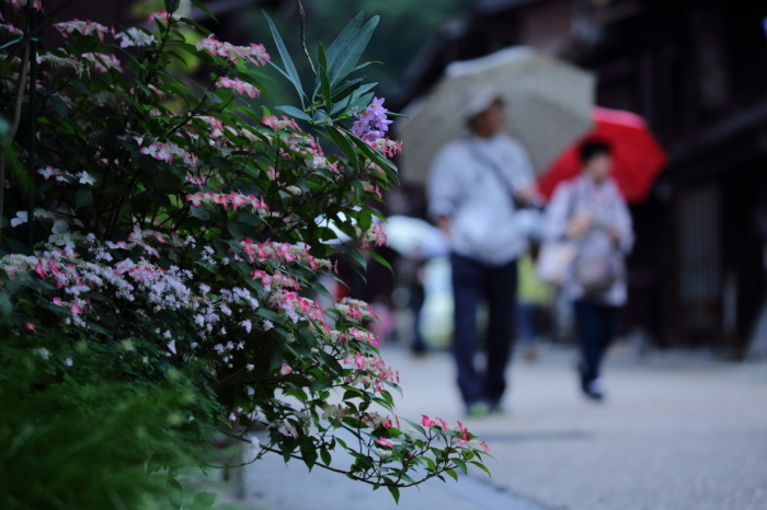 奈良井宿・梅雨彩～後編～_d0349418_21393453.jpg