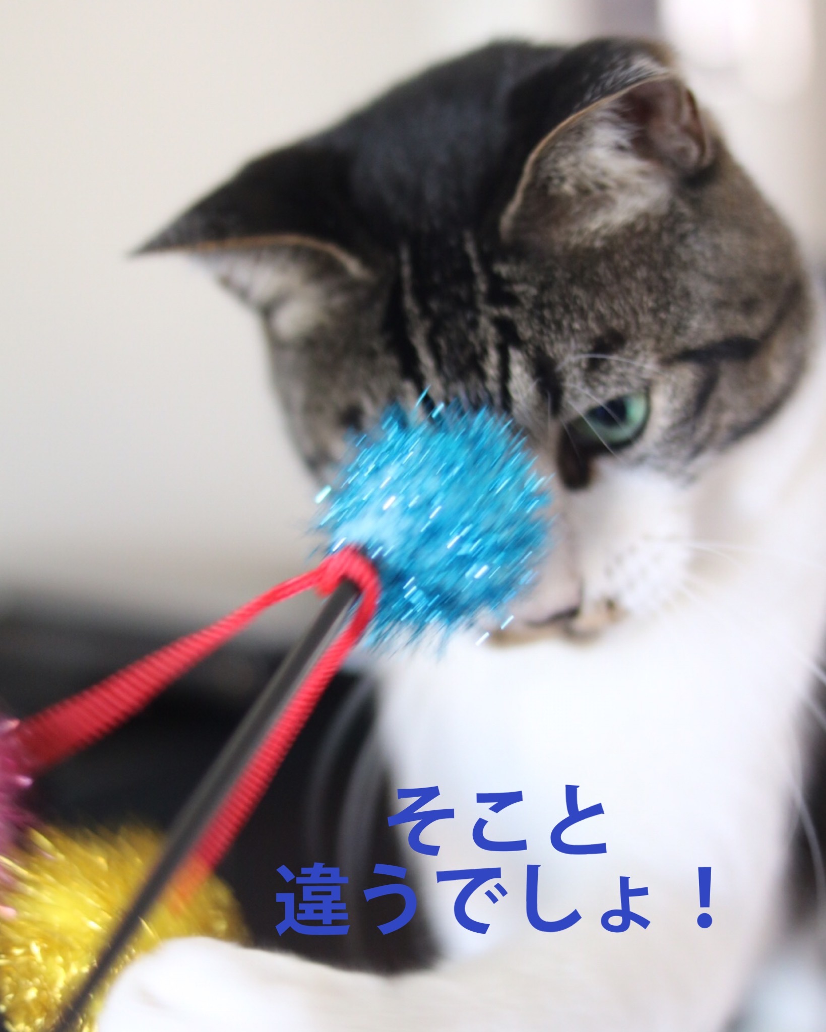 c0366722_19071285.jpeg