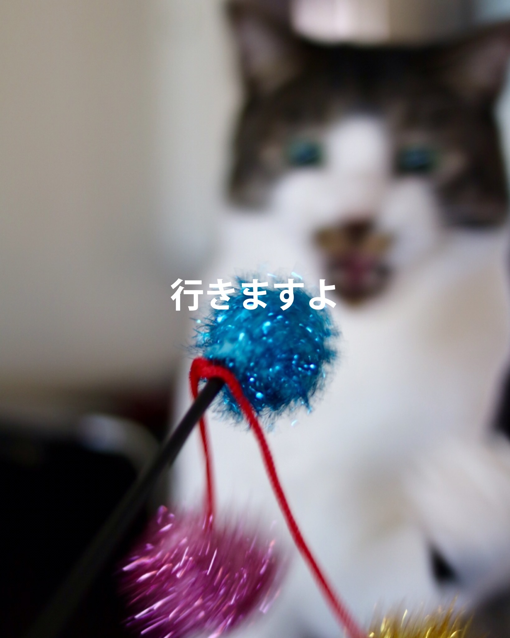 c0366722_19220713.jpeg