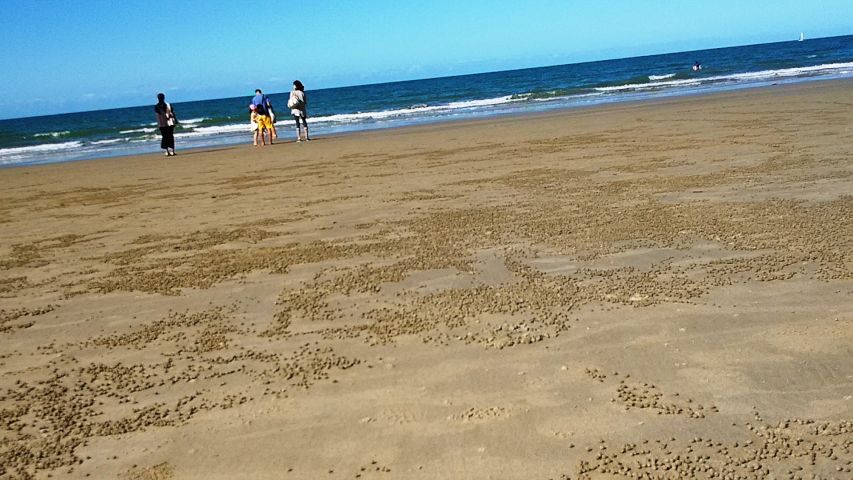 a0166324_0151669.jpg