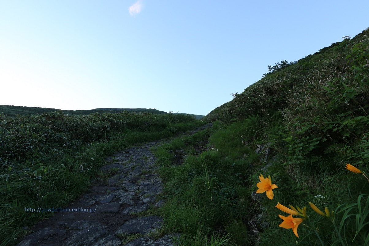 花と残雪の鳥海山_b0062024_10493282.jpg