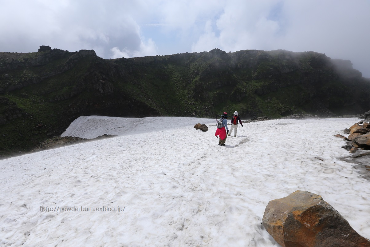 花と残雪の鳥海山_b0062024_123221.jpg