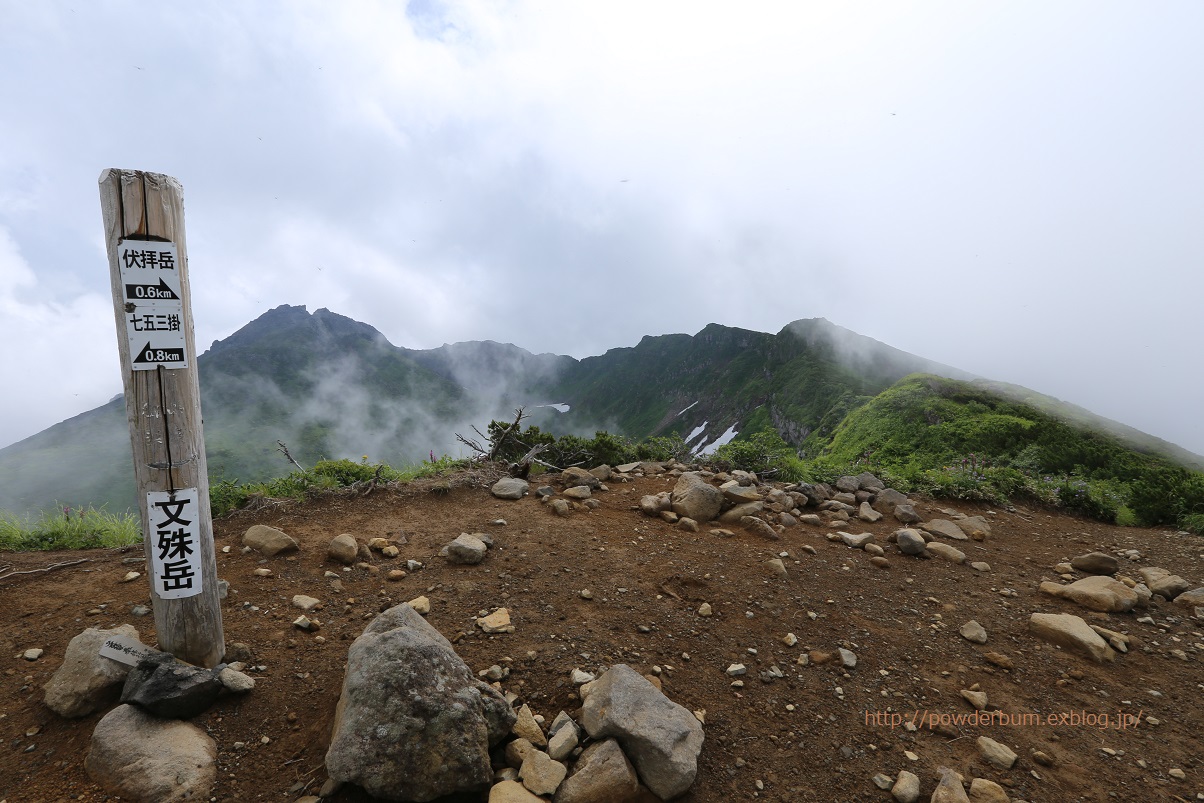 花と残雪の鳥海山_b0062024_1339552.jpg