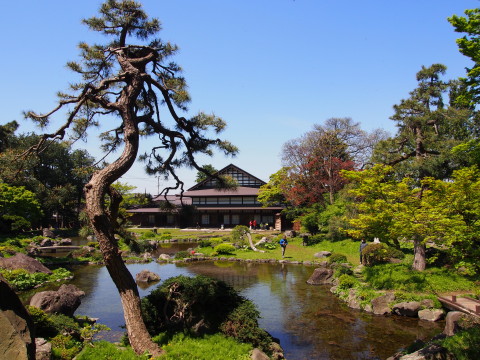 国名勝金平成園(黒石市)*春の一般公開_b0147224_21351721.jpg