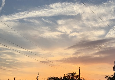 b0190530_2029432.jpg