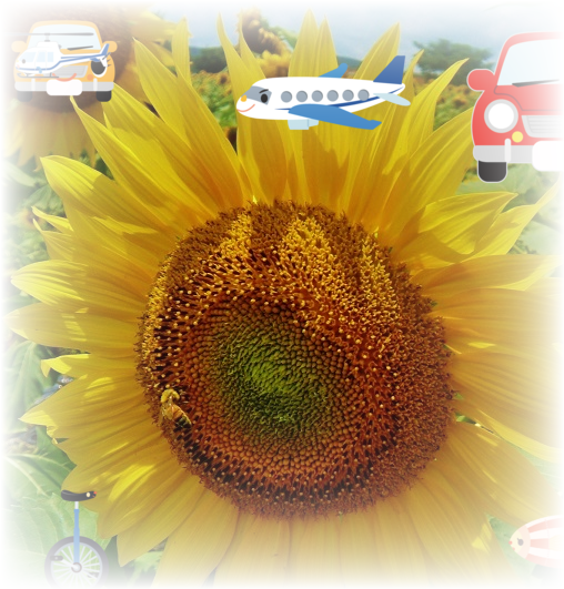 a0206332_13542596.png