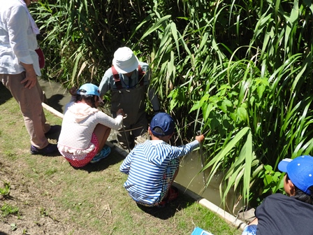 センター内ホタルの水路で生き物を探そう/自然の恵み体験ツアー_a0123836_149945.jpg