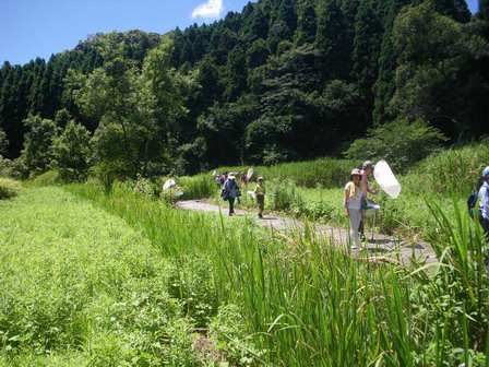 センター内ホタルの水路で生き物を探そう/自然の恵み体験ツアー_a0123836_16305066.jpg