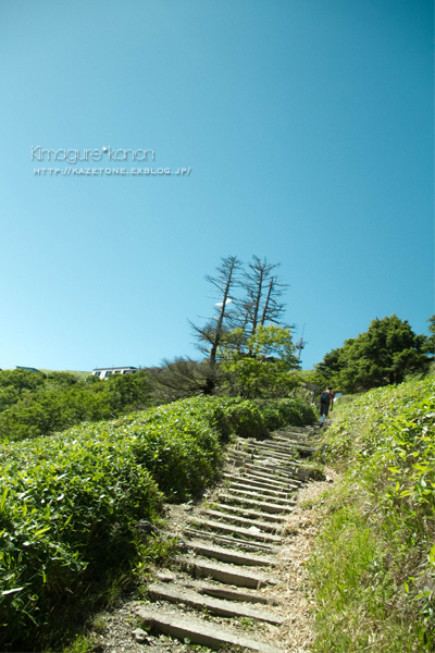 懐かしの山へ②**懐かしさと、新しさと_b0197639_17132117.jpg