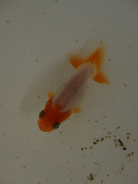 f0334143_94650.jpg