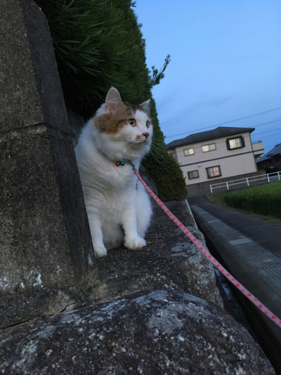 d0000247_19040780.jpg