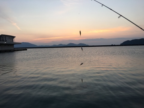 b0317250_17455858.jpeg