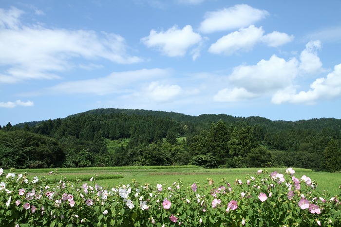 c0155950_1527118.jpg