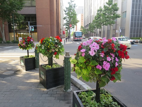 f0202151_1863875.jpg