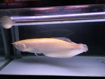 7/30 店長日記_e0173381_1913425.jpg