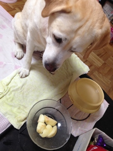 f0315081_21442081.jpeg