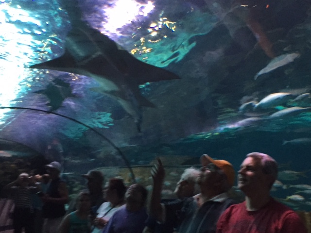 Aquarium　（水族館）_b0091689_7241542.jpg