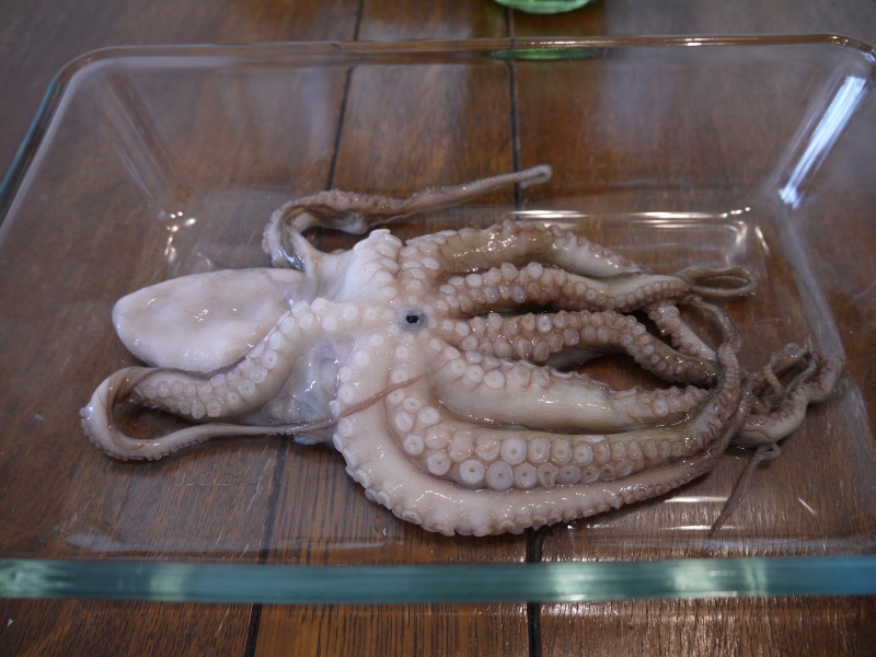 明石名産　生たこ_f0361692_11270748.jpg